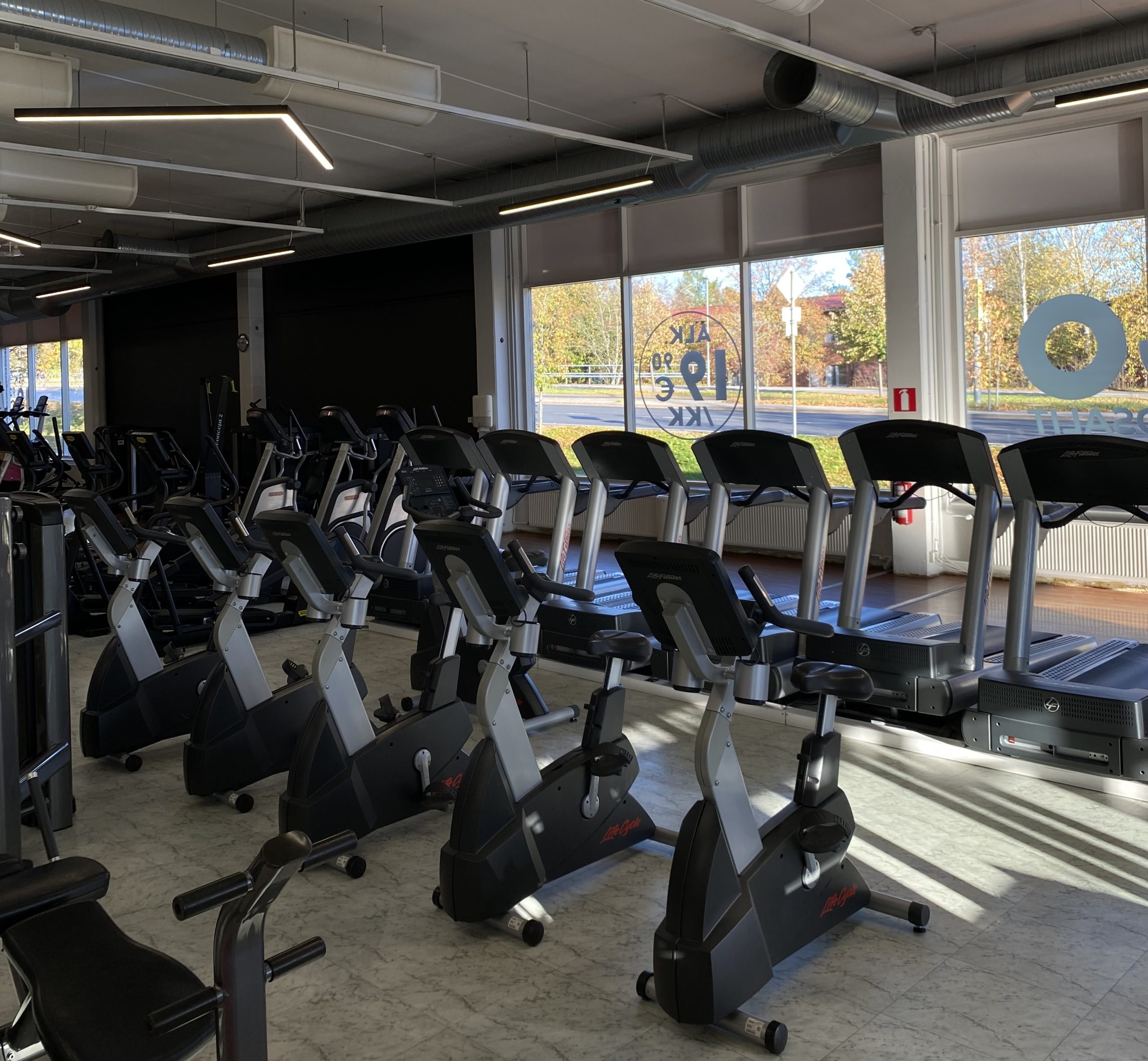 kuntosali laune aerobinen alue